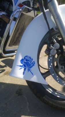 DUTCH BLUE
